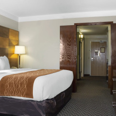 Отель Comfort Inn & Suites Durango комната для гостей фото 14