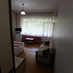 Thermal Saray Hotel 2* Стандартный номер с различными типами кроватей фото 8
