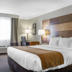 Отель Comfort Inn & Suites Durango комната для гостей фото 3