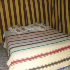 Отель Ecolodge Ouednoujoum Марокко, Уарзазат - отзывы, цены и фото номеров - забронировать отель Ecolodge Ouednoujoum онлайн комната для гостей