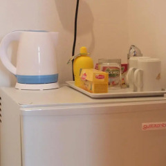 Отель Pension Brezina Prague 3* Номер Делюкс фото 11