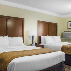 Отель Comfort Inn & Suites Durango комната для гостей фото 5