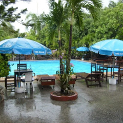 Palm Garden Hotel Паттайя бассейн фото 3