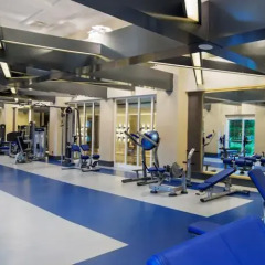 Papillon Ayscha Resort & Spa Турция, Белек - 10 отзывов об отеле, цены и фото номеров - забронировать отель Papillon Ayscha Resort & Spa - All Inclusive онлайн фитнесс-зал фото 2