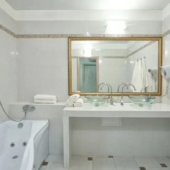 Elysium Hotel 3* Номер Делюкс с разными типами кроватей фото 25