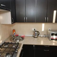 Апартаменты Meretskova Apartment Великий Новгород в номере фото 2