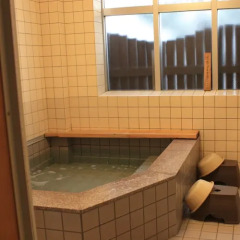 Отель Business Ryokan Tatsumi Минамиавадзи бассейн