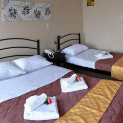 Отель Golden Beach Греция, Ситония - отзывы, цены и фото номеров - забронировать отель Golden Beach онлайн комната для гостей фото 3