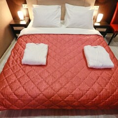 Elysium Hotel 3* Номер Комфорт с разными типами кроватей фото 10