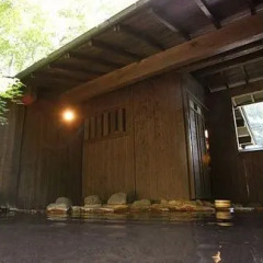 Отель Ryokan Yamanoyu Япония, Минамиогуни - отзывы, цены и фото номеров - забронировать отель Ryokan Yamanoyu онлайн спа
