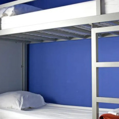 The White Tulip Hostel детские мероприятия фото 2