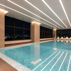 Отель Novotel Ambassador Seoul Yongsan - Seoul Dragon City с домашними животными фото 2