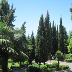 Гостиница Resort Avrora фото 2