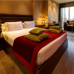 Olivia Plaza Hotel 4* Стандартный номер с различными типами кроватей