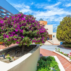 Отель Atrium Hotel Греция, Пефкохори - отзывы, цены и фото номеров - забронировать отель Atrium Hotel онлайн фото 2