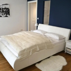 Отель Vienna Vintage Apartment Австрия, Вена - отзывы, цены и фото номеров - забронировать отель Vienna Vintage Apartment онлайн комната для гостей фото 4