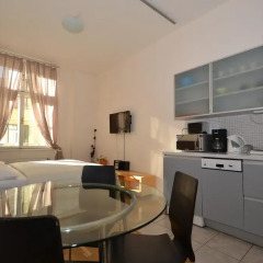 Апарт-отель Apartments Wenceslas Square Студия с различными типами кроватей фото 11