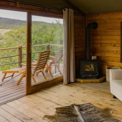 Отель Addo Elephant Lodge & Safaris Улучшенный люкс с различными типами кроватей фото 6
