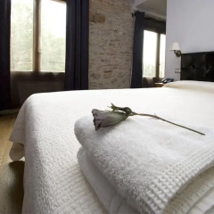 Hotel Moli de la Torre 3* Стандартный номер 2 отдельные кровати