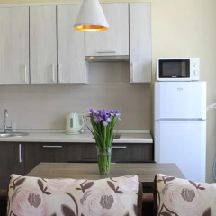 Апартаменты Apartment Stanislavkogo Street Сочи в номере