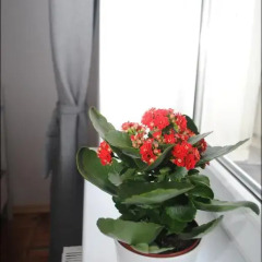 Отель Apartament Żydowska 11 Польша, Познань - отзывы, цены и фото номеров - забронировать отель Apartament Żydowska 11 онлайн питание фото 2