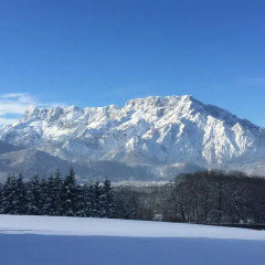 Отель Gasthof Pension David Пух-Халлайн фото 6