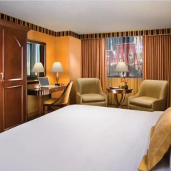 Отель New York New York 4* Стандартный номер с различными типами кроватей фото 5