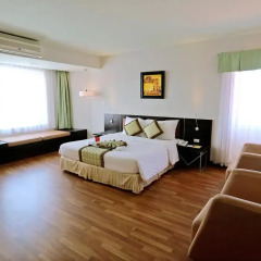 ParkView Hotel 4* Номер Делюкс с различными типами кроватей фото 3