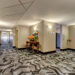 Отель Service Plus Inns & Suites Calgary Канада, Калгари - отзывы, цены и фото номеров - забронировать отель Service Plus Inns & Suites Calgary онлайн спа