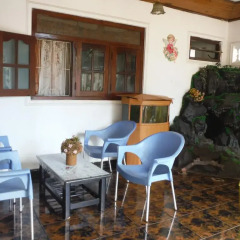 New negombo beach hostel гостиничный бар
