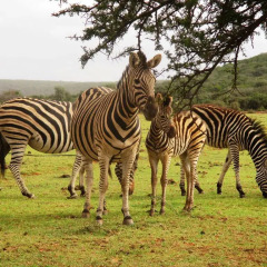Отель Valley Bushveld Country Lodge фитнесс-зал