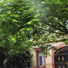 Отель Yitel Hotel Xiamen University Branch Китай, Сямынь - отзывы, цены и фото номеров - забронировать отель Yitel Hotel Xiamen University Branch онлайн