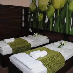 Green Hotel Budapest 4* Стандартный номер с двуспальной кроватью фото 10