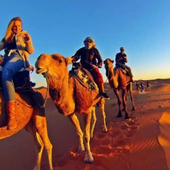 Отель Camel Bivouac Merzouga Марокко, Мерзуга - отзывы, цены и фото номеров - забронировать отель Camel Bivouac Merzouga онлайн приотельная территория