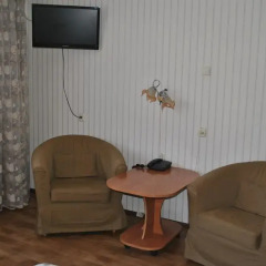 Гостиница Спутник 2* Стандартный номер разные типы кроватей фото 30