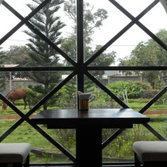 Отель Coffee Tour Resort спа фото 2