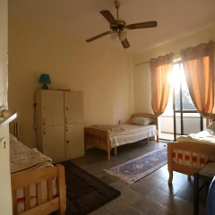 Cosy Hostel Tirana комната для гостей фото 2