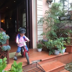 Thai Binh Sapa Hotel