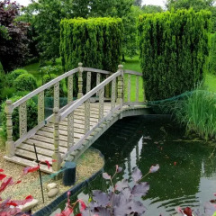 Отель B&B Sterckxhof Бельгия, Мейсе - отзывы, цены и фото номеров - забронировать отель B&B Sterckxhof онлайн фото 4