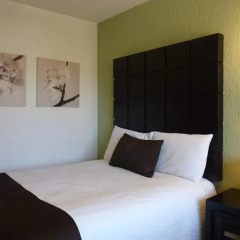 Hotel Posada Terranova 3* Номер Делюкс с различными типами кроватей