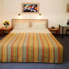 Palatin Hotel Jerusalem 3* Номер категории Эконом фото 2