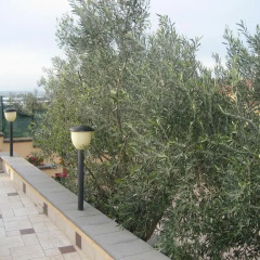 Отель La Casa Blu Агридженто балкон