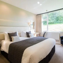 The Devon Hotel 3* Стандартный номер с различными типами кроватей фото 3