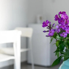 Апартаменты Hacarmel Apartment Студия фото 4