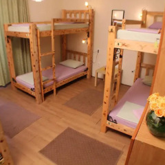 Hostel and Apartments Skadarlija Sunrise детские мероприятия