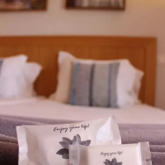 Vicentina Hotel 4* Стандартный номер 2 отдельные кровати фото 7