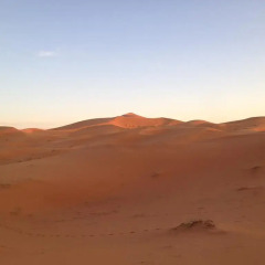 Отель Camels House Марокко, Мерзуга - отзывы, цены и фото номеров - забронировать отель Camels House онлайн фото 7