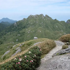 Отель Cottage Kutsuroki Япония, Якусима - отзывы, цены и фото номеров - забронировать отель Cottage Kutsuroki онлайн приотельная территория