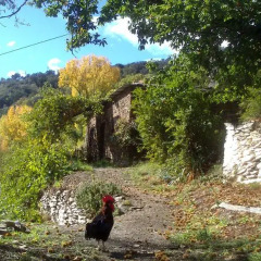 Отель Cortijo Buena Vista Сьерра-Невада приотельная территория