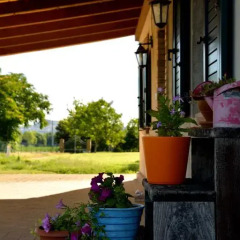 Апартаменты Osimo Apartments Озимо фото 3